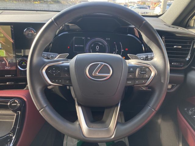 LEXUS NX350h