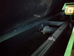 ELF