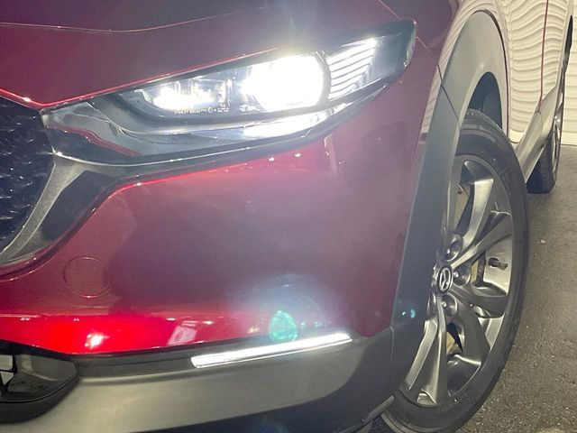 CX-30