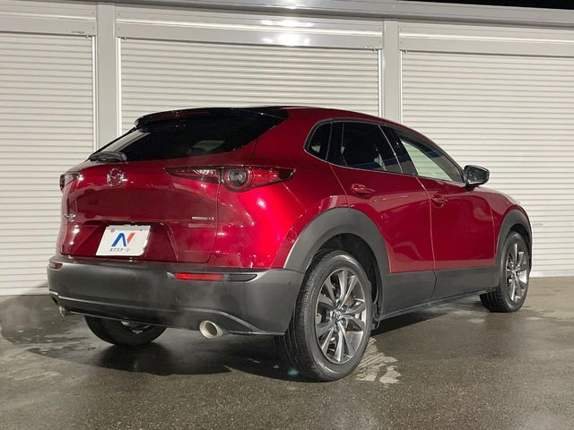 CX-30