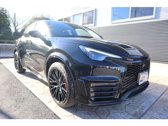 LEXUS LBX