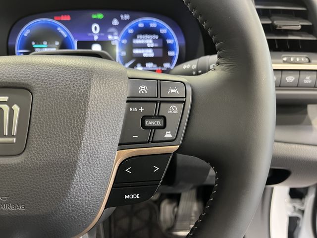 CROWN SPORT