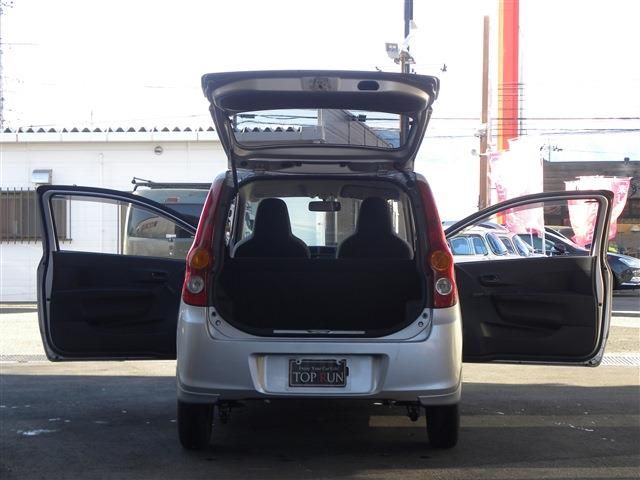 PLEO van