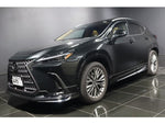 LEXUS NX250