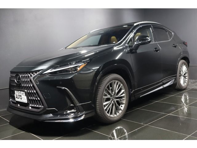 LEXUS NX250