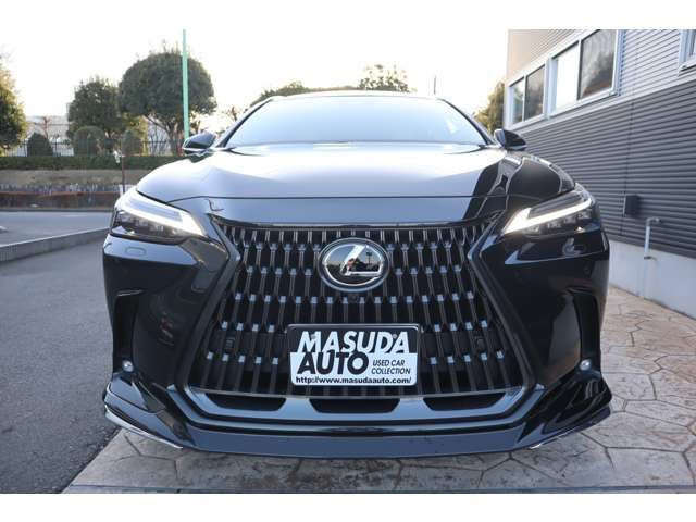 LEXUS NX250