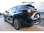 LEXUS NX250