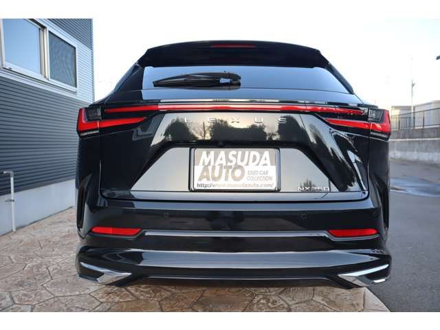 LEXUS NX250