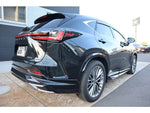 LEXUS NX250