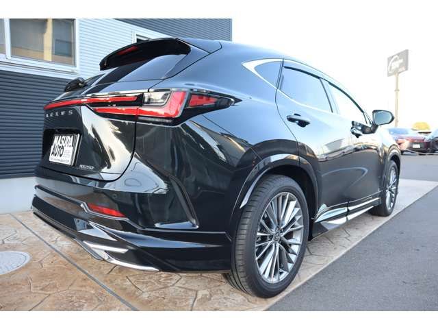 LEXUS NX250