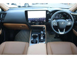LEXUS NX250