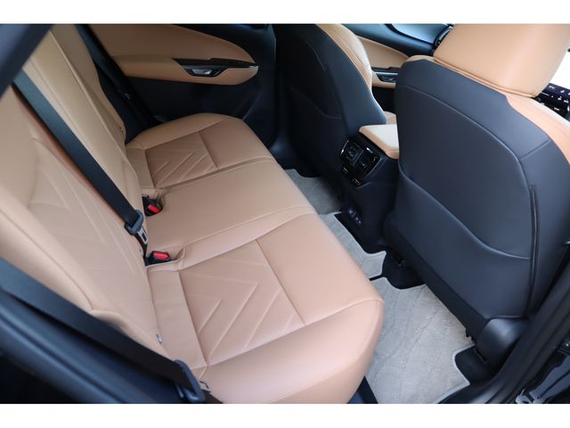 LEXUS NX250