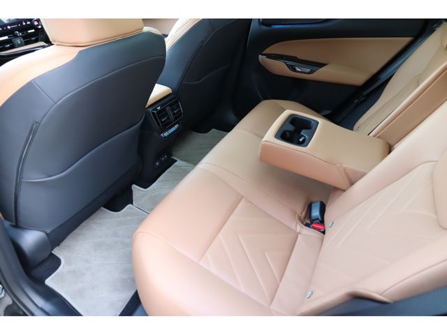 LEXUS NX250