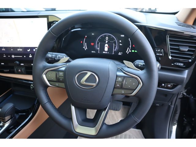LEXUS NX250