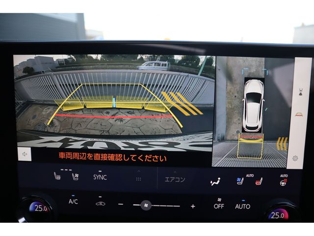 LEXUS NX250