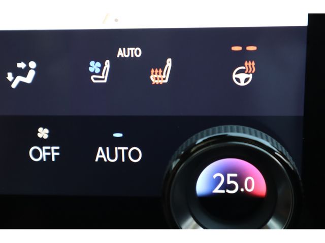 LEXUS NX250