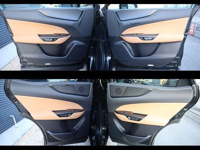 LEXUS NX250