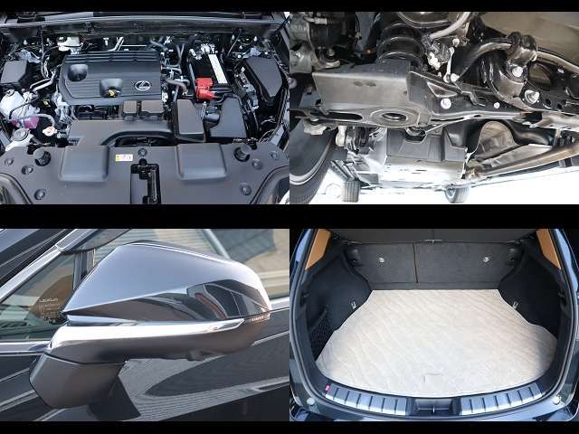 LEXUS NX250