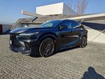 LEXUS RX500h