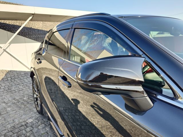 LEXUS RX500h