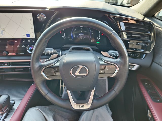 LEXUS RX500h