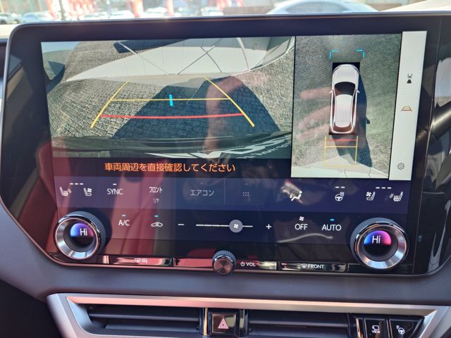 LEXUS RX500h