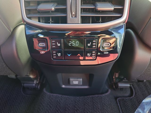 LEXUS RX500h