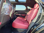 LEXUS RX500h