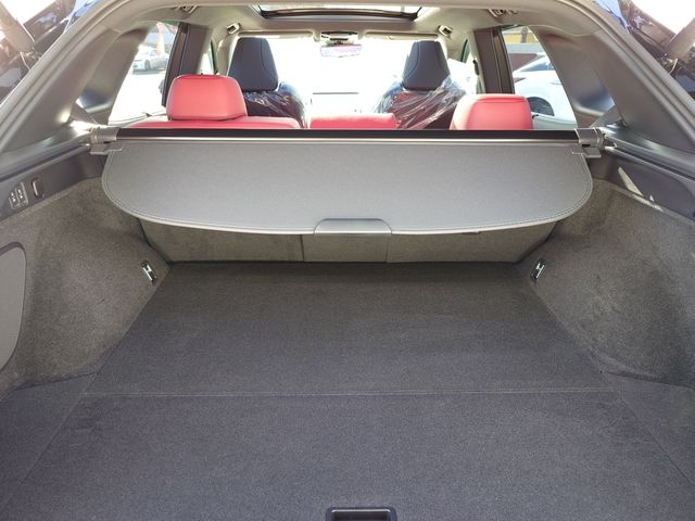 LEXUS RX500h