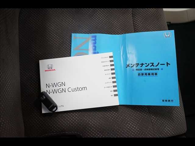 N-WGN