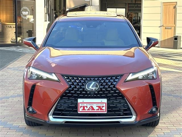 LEXUS UX250h