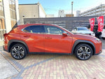 LEXUS UX250h