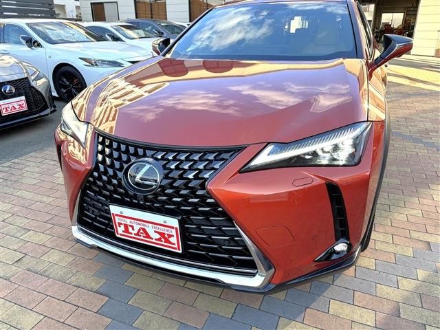 LEXUS UX250h