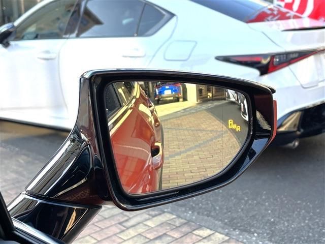 LEXUS UX250h