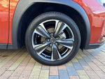 LEXUS UX250h