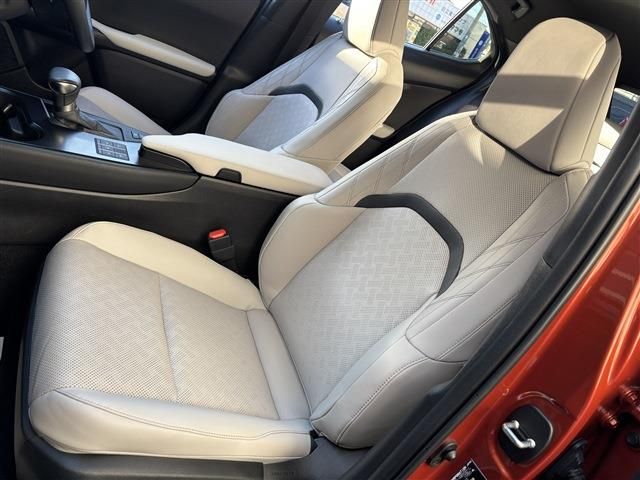 LEXUS UX250h