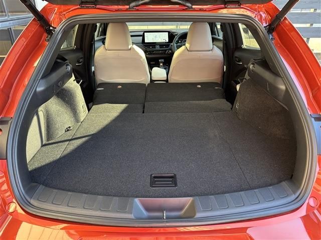 LEXUS UX250h