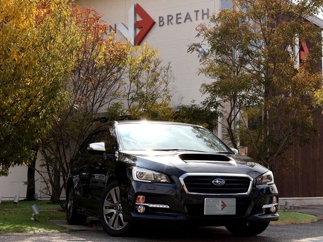 LEVORG