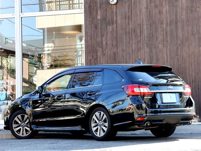 LEVORG