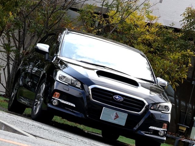 LEVORG