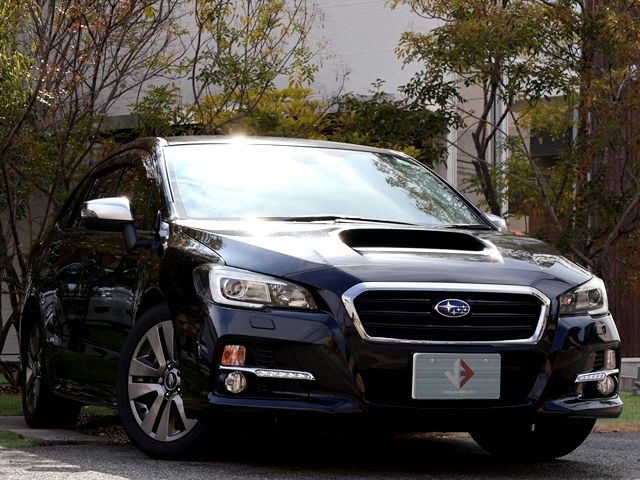LEVORG