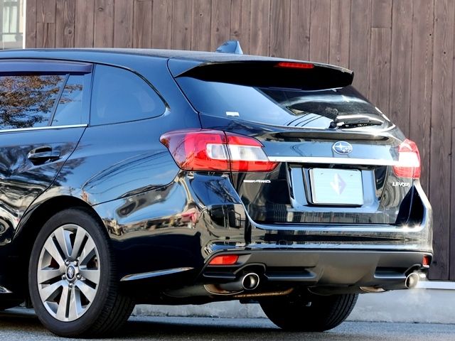 LEVORG