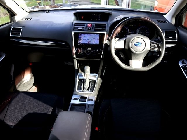 LEVORG