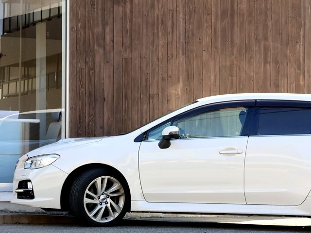 LEVORG