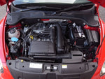 VOLKSWAGEN The BEETLE