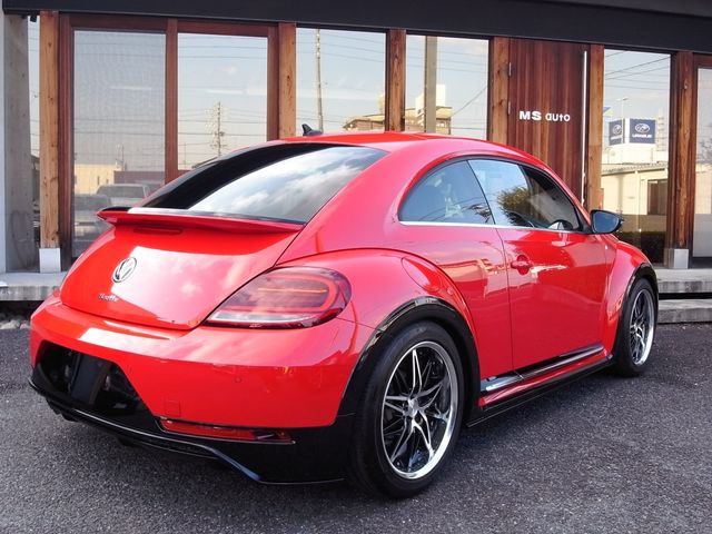 VOLKSWAGEN The BEETLE