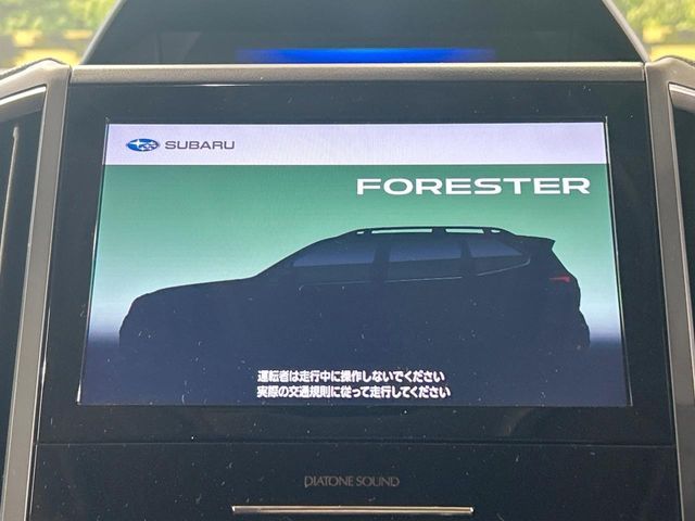 FORESTER