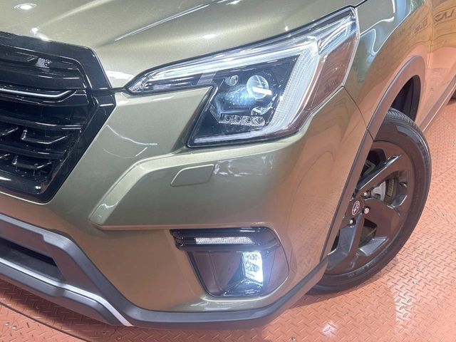 FORESTER