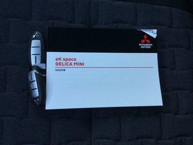 DELICA MINI