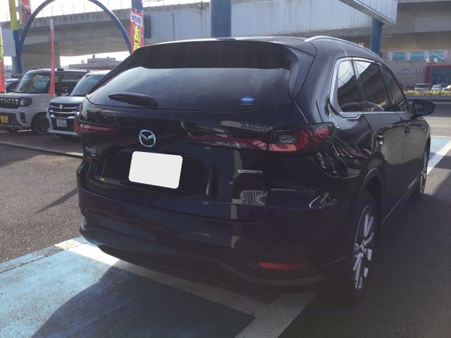 CX-80